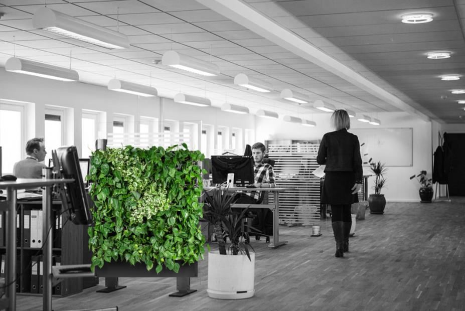 4Nature System – Wertykalni zbadał pozytywny wpływ roślin na pracowników biurowych w Polsce.